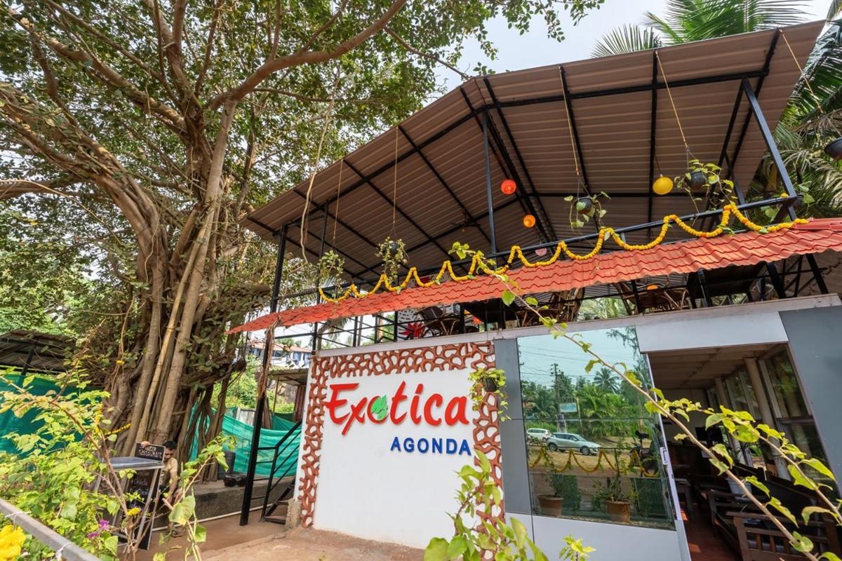 فندق The Exotica أغوندا المظهر الخارجي الصورة